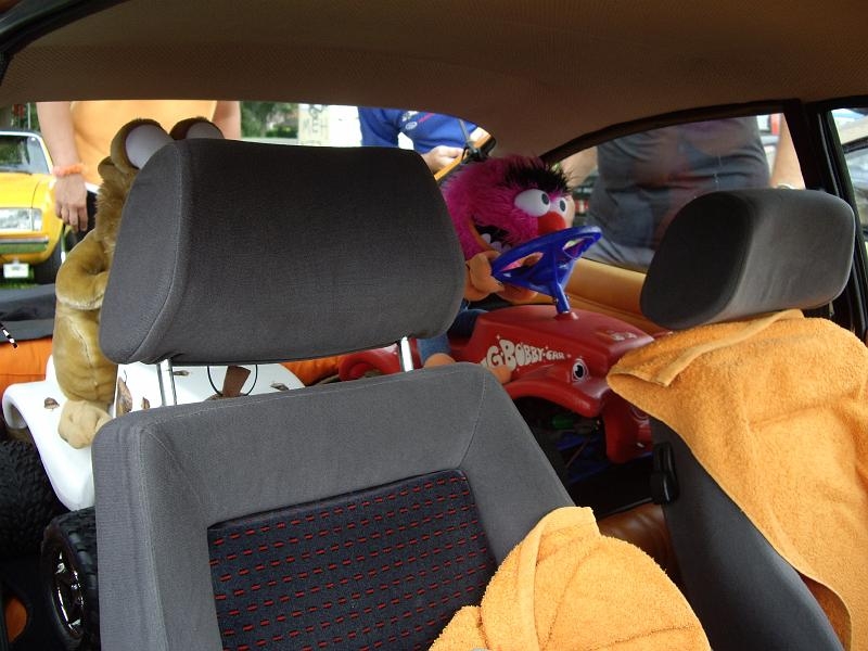 Capritreffen Friesland 2009