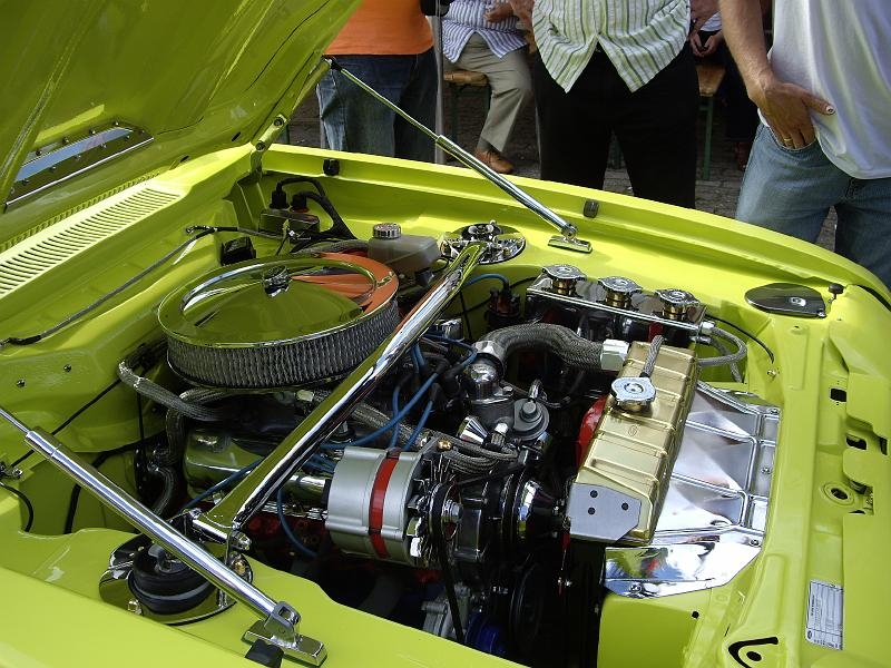 Capritreffen Friesland 2009