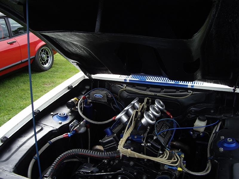 Capritreffen Friesland 2009