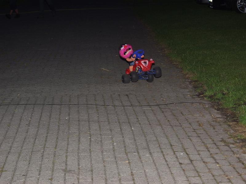 Capritreffen Friesland 2009