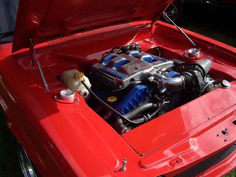 Capritreffen Friesland 2009